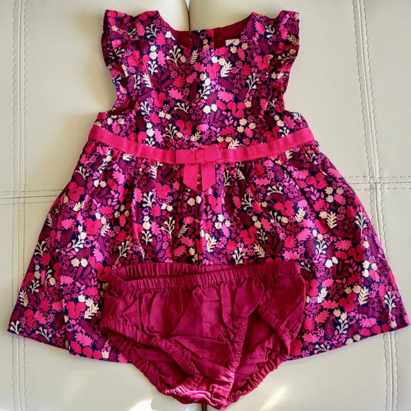 Gymboree Woodland Baby Girl Dress - Picture 3 of 5